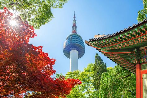 Seoul Tower, Autumn In Korea, Namsan Tower, Visit Seoul, Popular Travel Destinations, River Park, Jeju Island, Korea Travel, Autumn Scenery