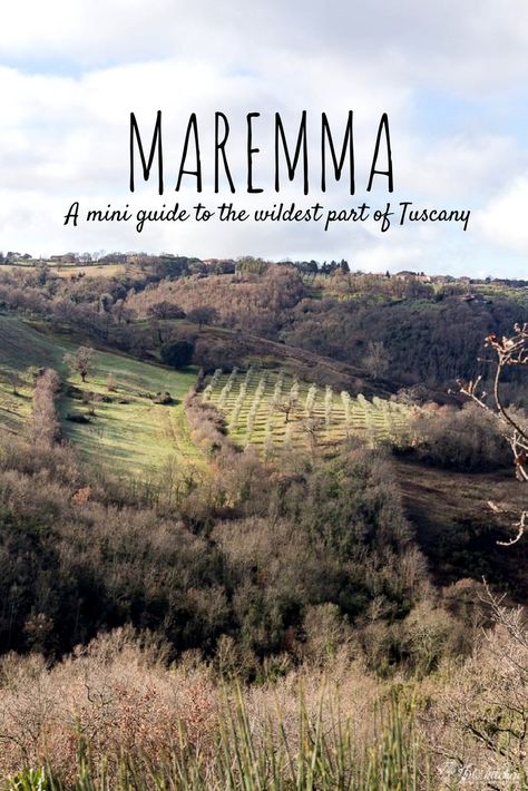 A small guide to Maremma, based on the researches that lead us to write La Cucina dei Mercati in Toscana and on the timeless love for Maremma... Where to eat in Maremma, where to stay and what to visit, including markets and recipes! #maremma #tuscany Maremma Italy, Travel Tuscany, Italian Honeymoon, Tuscany Travel, Italy Tuscany, Italian Vacation, Florence Tuscany, Timeless Love, Italy Travel Tips