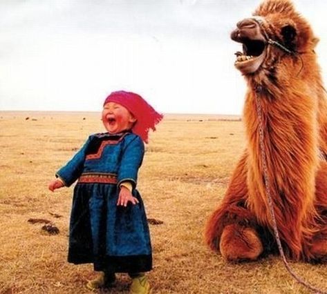 Absolutely love this photo. Anyone know who to credit? Funny Morning, Cele Mai Drăguțe Animale, Appaloosa, Beanie Babies, صور مضحكة, Quarter Horse, Jolie Photo, Mongolia, Feeling Happy