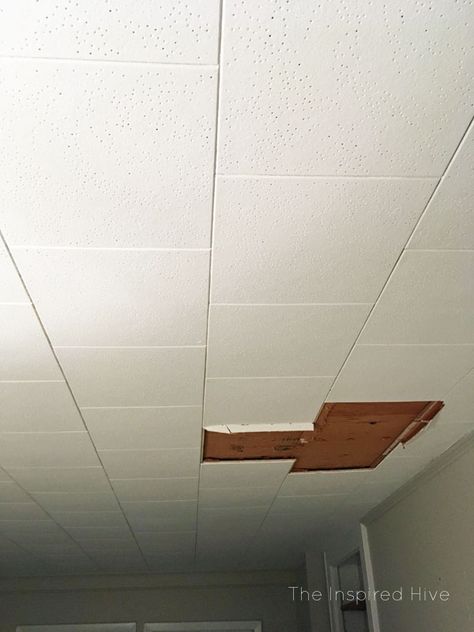 How to remove old ceiling tiles Old Ceiling Tiles Ideas, Painting Ceiling Tiles, Removing Textured Ceiling, Blue Painted Porch Ceiling, Paint Blue Porch Ceiling, Kitchen Ceiling Tile, Haint Blue Porch Ceiling Behr, Vintage Ceiling Tiles Lowe's, Tile Removal