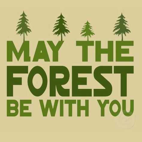 Funny Star Wars quote Mother Nature Quotes, Quotes Nature, Nature Life, Ralph Waldo Emerson, Trendy Quotes, Ideas Quotes, Nature Quotes, Go Camping, A Sign