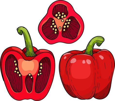 Paprika Illustration, Bell Pepper Drawing, Pepper Illustration, Paprika Pepper, Sweet Paprika, Hand Drawn Illustration, Gcse Art, Drawn Illustration, Ground Pepper