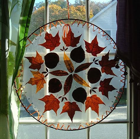 Autumn Decor/Craft    I Just sandwiched the leaves between sheets of clear contac paper that I had cut into circles; then, laced them into the metal ring with narrow orange satin ribbon, thru holes I had punched ! Autumn Leaves Craft, Leaf Crafts, Autumn Crafts, Reggio Emilia, Nature Crafts, Autumn Activities, Sensory Activities, Autumn Art, Leaf Art