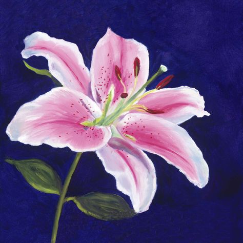 Lilies Drawing, Watercolor Tattoo Flower, Lily Painting, Stargazer Lily, Roses Drawing, Pastel Pencils, Painting Gallery, Flash Art, Flower Art Painting