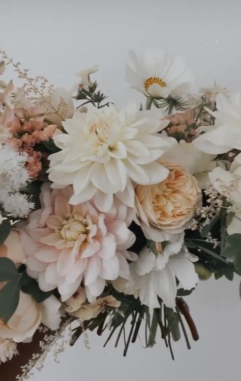 Neutral Tone Wedding Bouquet, Neutral Fall Wedding Flowers, White Dahlia Bouquet, Mercedes 2023, Dahlia Bridal Bouquet, Wedding Planning Details, Teardrop Bouquet, Pink Flower Arrangements, Champagne Flowers