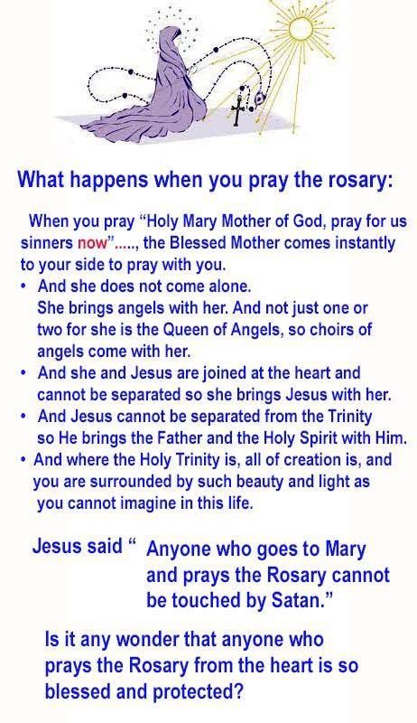 Praying The Rosary Catholic, Faith Aesthetic, Souls In Purgatory, Rosary Prayers Catholic, Catholic Prayers Daily, Ancient Irish, Pray The Rosary, Catholic Beliefs, Miracle Prayer