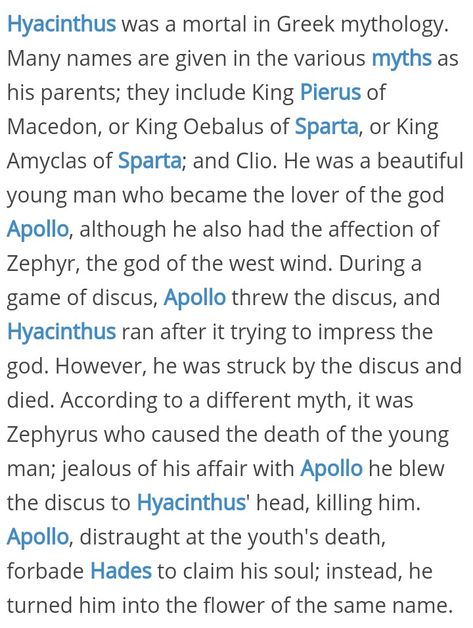 Hyacinthus Mythology, Hyacinth And Apollo, Apollo X Hyacinthus Fanart, Apollo And Hyacinth Fanart, Apollo X Hyacinthus, Hyacinthus And Apollo, Apollo Hyacinthus, Operation Hyacinth, Apollo And Hyacinth