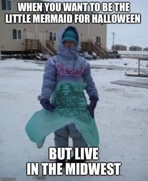 Here's A List Of Hilariously True Moments For Anyone Who Has Experienced Halloween In The Midwest Canadian Memes, Canada Memes, Canadian Humor, Meanwhile In Canada, Canadian Things, I Am Canadian, Memes In Real Life, Canada Eh, Memes Of The Day