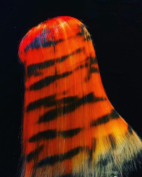 Tiger Stripes Hair, Tiger Hair, Toralei Stripe, Catty Noir, Tool Party, Year Of The Tiger, Orange Hair, The Tiger, Tiger Print