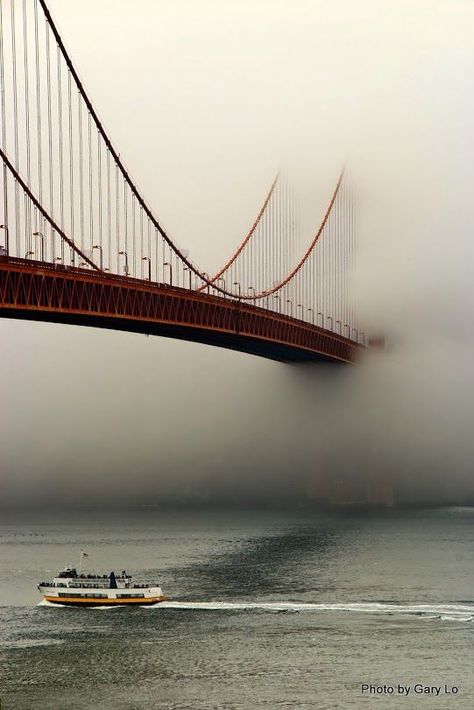 Foggy Day, The Golden Gate Bridge, A Bridge, Golden Gate, Golden Gate Bridge, Beautiful Photography, Belle Photo, Beautiful World, Beautiful Landscapes