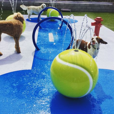 Have Your Business Go From Dog-Friendly to BRING ON THE DOGS!!! If want to encourage dog owners to come to your hotel, doggie daycare, apartments, etc... then try by adding an awesome H2O Fido Splash Pad!! #dogs #dogsrule #lovedogs Diy Playground Ideas, Dog Daycare Design, Dog Park Equipment, Dog Boarding Ideas, Dog Daycare Business, Indoor Dog Park, Dog Boarding Facility, Dog Boarding Kennels, Dog Kennel Designs