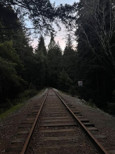 Abandoned Train Tracks Aesthetic, Railroads Aesthetic, Railroad Tracks Aesthetic, Train Track Aesthetic, Train Tracks Aesthetic, Twd Aesthetic, Road Aesthetic, Midnight Swim, Train Wreck