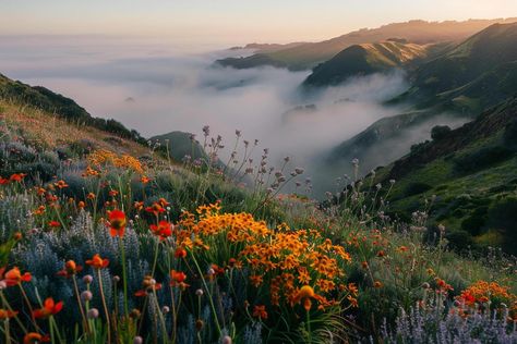 Landscape Ethereal misty mountain valley at sunrise with fog rolling over hills dotted with colorful wildflowers   nature background Pretty Landscapes Horizontal, Nature Landscape Horizontal, Nature Horizontal, Seasonal Backgrounds, Fog Landscape, Plains Landscape, Colorful Wildflowers, Mountain Meadow, Hd Background Download