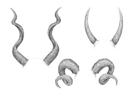 Types Of Horns, Horns Drawing References, Gargoyle Drawing, Sheep Drawing, Dragon Horns, Goat Horns, Dark Art Drawings, Scary Art, Dragon Drawing