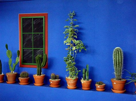 Cantando Victoria: Inspiración azul Green Exterior House Colors, Mexican Garden, Mexican Interiors, Mexican Colors, Mexican Home Decor, نباتات منزلية, Mexican Home, Mexican Decor, Mexican Designs