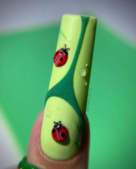 Nails Ladybug, Spring Gel Nails Ideas, Bug Nails, Ladybug Nail Art, Deer Nails, Ladybug Nails, Almond Acrylic, Spring Instagram, Stylish Nails Designs