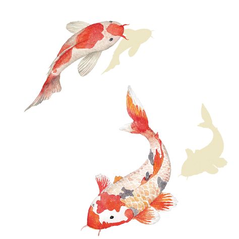 Koi Fish Illustration, Fish Banner, Orange Koi, Fish Png, Illustration Colorful, Animal Png, Chinese Brush Painting, Fish Illustration, Japanese Tattoo