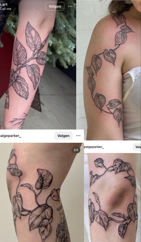 Pathos Leg Tattoo, Plant Tattoo Sleeves, Edgy Plant Tattoo, Golden Pathos Tattoos, Plant And Bug Tattoo Sleeve, Plant Tattoos Black And White, Pothos Leg Tattoo, Plant Tattoo Forearm, Pothos Tattoo Black And White