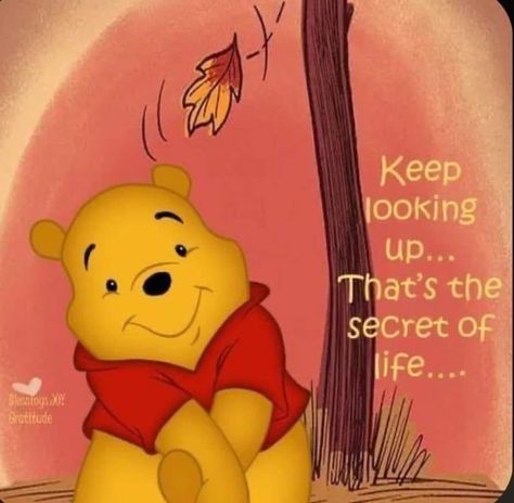 Disney World Quotes, Disney Characters Quotes, Winnie The Pooh Gif, Happy Heavenly Birthday, Keep Looking Up, Winnie The Pooh Pictures, Disney World Pictures, Bible Study Help, Teddy Bear Pictures