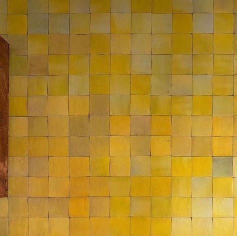 Manuka Tiling Ltd. on Instagram: "Golden yellow Zellige tile via Emery & Cie. 🌞 #golden #yellowtile #zellige #tileinstallation #nz #whangarei" Zellige Bathroom, Zellige Tile Bathroom, Zellige Tiles, London Townhouse, Yellow Tile, Shimmer Wall, Fireclay Tile, Shelter Island, Yellow Bathrooms