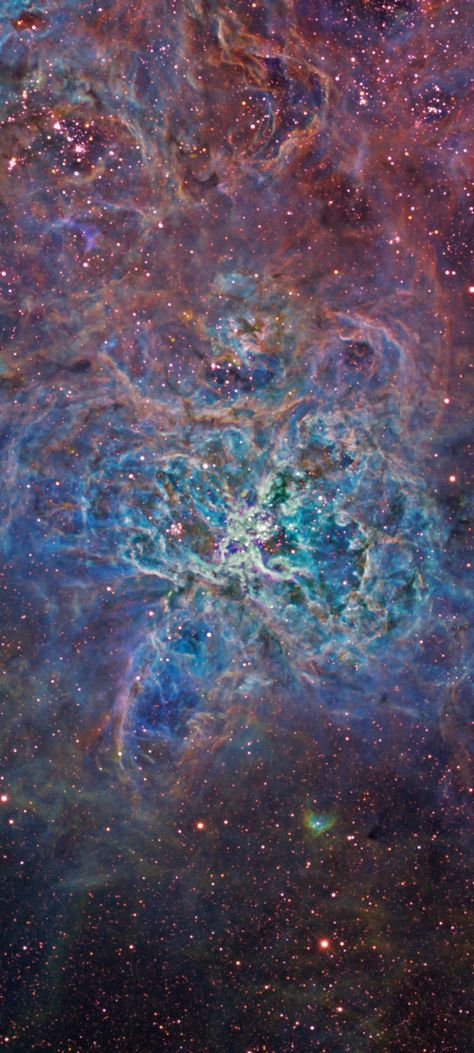 Tarantula Nebula, Full Blue Moon, Galaxy Solar System, Derpy Hooves, Space Photos, Space And Astronomy, Deep Space, Natural Earth, Blue Moon