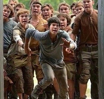 Uhhhhhh? Thomas Maze Runner, Maze Runner 1, Maze Runer, Maze Runner Thomas, Will Poulter, Maze Runner Trilogy, Maze Runner Funny, Maze Runner Cast, Newt Maze Runner