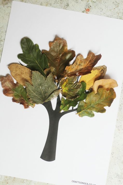 Fall Tree Craft - Crafts on Sea Leaf Crafts Kids, Fall Tree Craft, Leaves Crafts, Nature Crafts Kids, Dry Leaf Art, Trees For Kids, Tree Collage, Fall Tree Painting, Autumn Leaves Craft