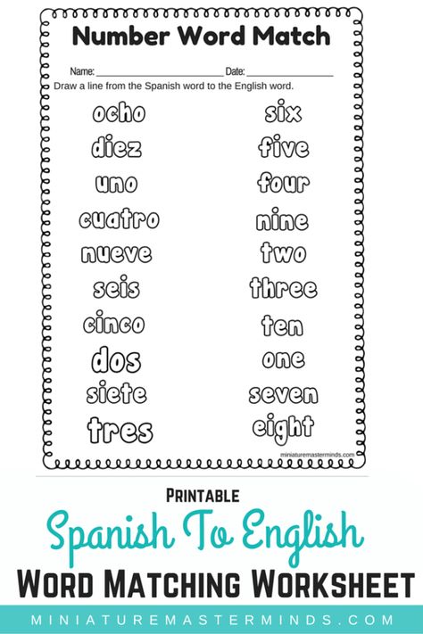 Spanish To English Word Number Matching Worksheet ⋆ Miniature Masterminds Colors In Spanish And English Free Printable, Spanish To English Worksheets, Teaching Spanish High School, Spanish Counting, Beginner Spanish Worksheets, Teaching Spanish To Kids, Spanish Printables, Spanish To English, English To Spanish