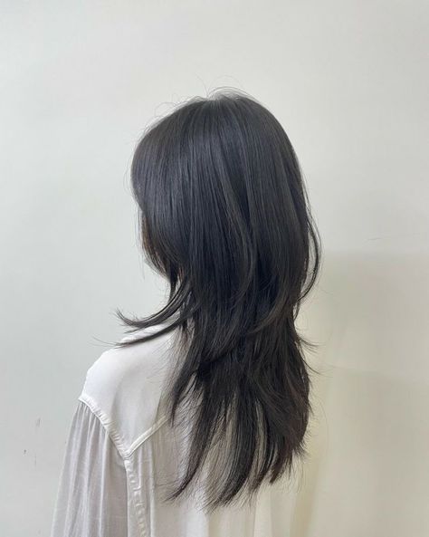 Korean Hime Haircut, Slide Layer Haircut, Lazy Haircuts, Hush Cut Straight Hair, Hush Haircut With Bangs, Korean Wolf Cut Long Hair, Heavy Layered Hair, Hush Cut With Bangs, Korean Hush Cut