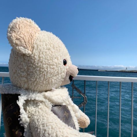 #海#トラベル#seaside#snuggle bear#ustoy Snuggle Bear, Big Kid, Knick Knacks, Big Kids, Bears, Teddy Bear, Animals