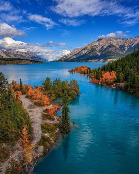 Autumn has arrived in Alberta. Yellow and orange foliage are currently on full display in this region. Such a beautiful time of year! 🍂🏞😍… Abraham Lake Canada, View Of Nature, Abraham Lake, Travel Photography Nature, Canada Images, And So It Begins, Lake Pictures, Autumn Scenery, Get Outdoors