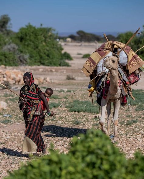 Somali People History, Somalia Culture, Somali Traditional, Somali Aesthetic, Sudanese People, Figurative Composition, Somali Clothes, Somali Culture, Muslim Marriage