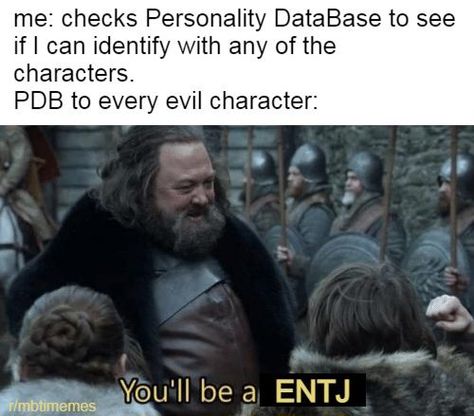 I'm not an ENTJ, but I find it quite annoying that all the characters that represent INTJ or ENTJ on PDB are all sociopaths or villains Entj Aesthetic, Personality Aesthetic, Entj Personality, Know Thyself, Intj, Personality Types, Heartfelt Quotes, Personalities, Find It