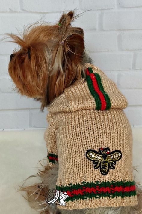 Pet Sweater Costume for small dog by LyudmilaHandmade.  Dog coat clothes, puppy yorkie dress clothes. you're going to love these Knitted Dog Sweater and we've rounded up some of the cutest on the block. heck them out now and Pin your favorites Puppy Clothes Girl, Knitted Dog Sweater, Small Dog Dresses, Knitted Dog, Pet Sweaters, Dog Winter Coat, Clothes Girl, Pet Sweater, Yorkshire Terrier Puppies