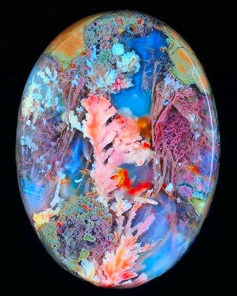 Rocks And Fossils, Plume Agate, Pretty Rocks, Cool Rocks, Beautiful Rocks, Minerals And Gemstones, Rocks And Gems, Gems And Minerals, Patterns In Nature