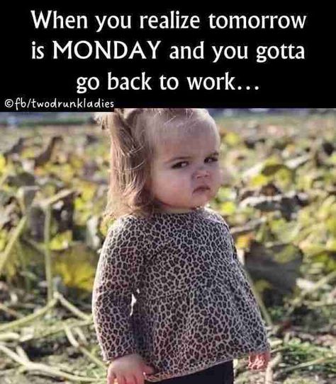 Collection of Best Manic MONDAY MEMES 2023 - Guide For Geek Moms Tomorrow Is Monday, Selfie Fail, Monday Memes, Monday Humor, Mood Humor, Daily Memes, What’s Going On, Bones Funny, Memes Quotes