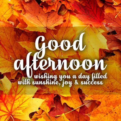 Afternoon Blessings, Coffee Sayings, Good Afternoon Quotes, Good Evening Greetings, Good Morning Greeting Cards, Afternoon Quotes, Evening Greetings, Happy Week, Quotes God