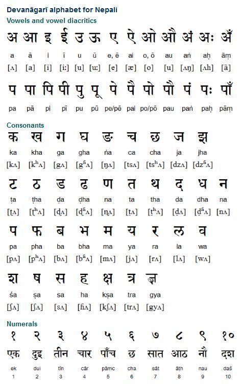 Hindi Alphabet Order Gallery C80 Brahmi Script, Nepali Language, Manuscript Writing, Hindi Alphabet, Sanskrit Language, Hindi Language Learning, English Transition Words, Alphabet Code, Alphabet Words