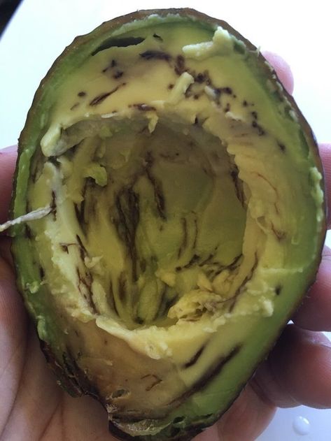 How to Know if That Avacado Is Safe to Eat Bad Avocado What To Do With, How To Cut A Avacodo, How To Store Avocado, Unripe Avocado, Avocado Types, Avocado Uses, Avocado Snack, Advocare Recipes, Avocado Benefits