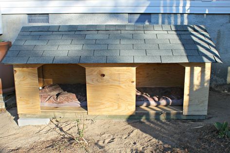 Double Dog House, Big Dog House, Dog House Plan, Extra Large Dog House, Small Dog House, Insulated Dog House, Build A Dog House, Large Dog House, Outdoor Dog House