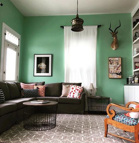 Sherwin Williams Reclining Green SW 6744 living room Lounge Green Sherwin Williams, Reclining Green Sherwin Williams, Green Sherwin Williams, Tupelo Tree, Coastal Paint, Downstairs Bedroom, Home Paint Color, Train Room, Sherwin Williams Colors