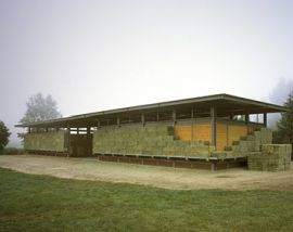 Hay Bale Storage, Horse Stall Ideas, Horses Training, Alfalfa Hay, Hay Storage, Horse Farm Ideas, Cattle Barn, Barn Hacks, Cow Shed