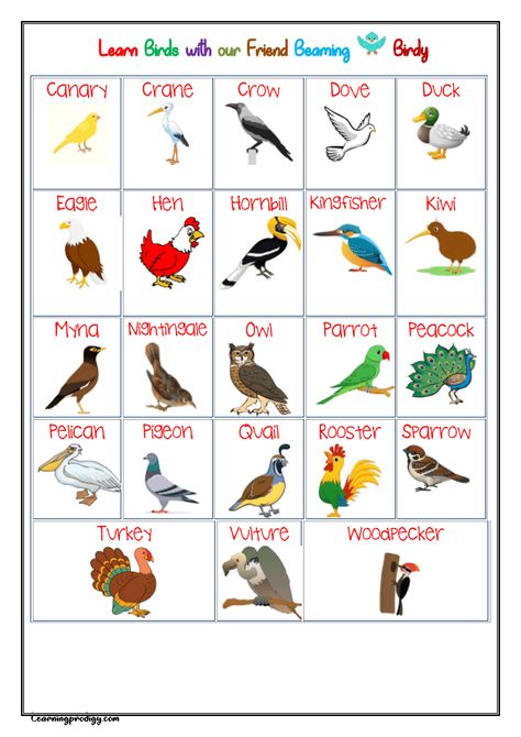 Charts - LearningProdigy Birds Chart, Prewriting Activities Preschool, Birds Name, Animals And Their Homes, Vegetable Chart, Shape Chart, Body Chart, Pre Writing Activities, Preschool Colors