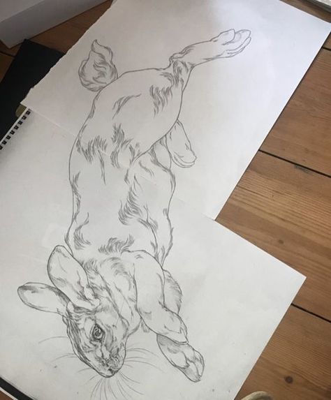 Rabbit Art Reference, Dark Rabbit Tattoo, Rabbit Drawing Reference, Rabbit Reference, Hare Sketch, Hare Tattoo, Hase Tattoos, Rabbit Sketch, Hare Illustration