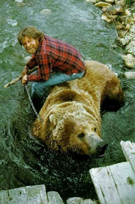 Rise & Shine (28 Photos) - Suburban Men Bart The Bear, Art Of Manliness, Mountain Man, Brown Bear, Bushcraft, National Geographic, Animal Kingdom, The Great Outdoors, Plein Air