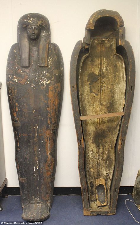 The 3,000 year old sarcophagus was found during a routine search to value items at a pensioner's Essex home Egyptian Coffin, Egyptian Sarcophagus, Mummified Body, Egyptian People, Egypt Mummy, Travel Egypt, Ancient Egyptian Artifacts, Colchester Essex, Ancient Egypt History