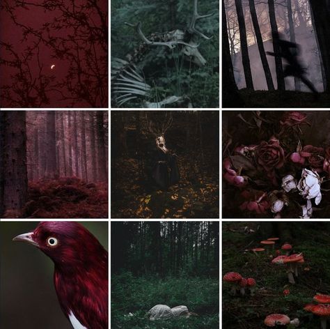 Strange Trails Aesthetic, Strange Trails, Paranormal Aesthetic, Adopt Idea, Lord Huron, How To Disappear, Aesthetic Space, Moodboard Aesthetic, Horror Themes