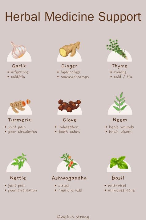 Benefits Of Herbs, Teas Recipes, Wellness Website, Medicinal Herbs Garden, Medical Herbs, Herbal Teas Recipes, Magic Herbs, Herbal Apothecary, Natural Healing Remedies