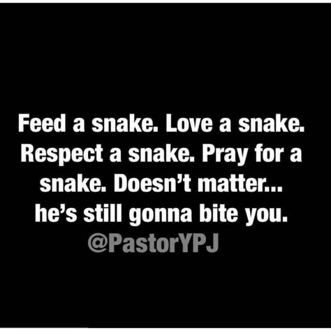 Snakes Don't Hiss Anymore Quotes, Snake Quotes People Lessons Learned, After A Divorce, Betrayal Quotes, Lesson Learned, Be Confident, Truth Hurts, On The Horizon, A Snake