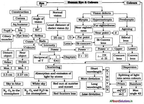 AP Board 10th Class Physical Science Notes Chapter 5 Human Eye and Colourful World – AP Board Solutions Human Eye And Colourful World Class 10, Physics Class 10 Notes Light, Physics Notes Class 10 Human Eye, Human Eye And The Colourful World Notes, Light Class 10 Mind Map, Light Chapter Class 10 Notes, Class 10 Science Notes Physics Light, Human Eye Class 10 Notes, Human Eye Notes